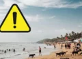 Indian international students drowning cases Canada